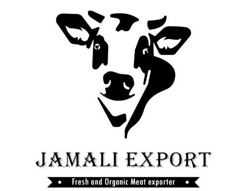 whatsapp image 2025 08 25 at 11.10.54 54405d5e removebg preview